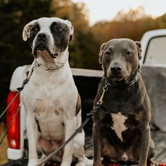 Meet your Posher, Tyler - Picture 2 of 5